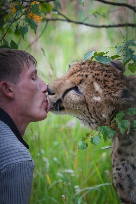 про любовь... фото превью