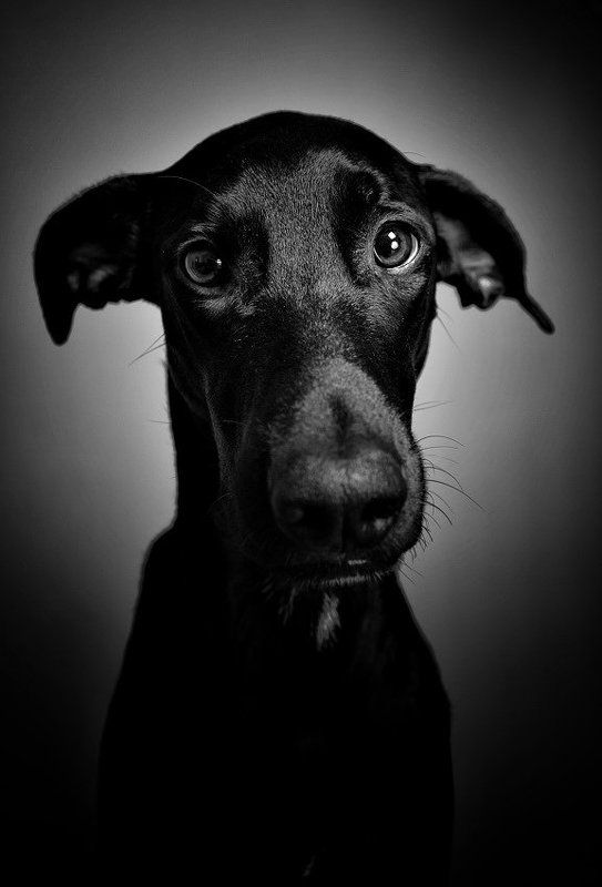 ... фото превью