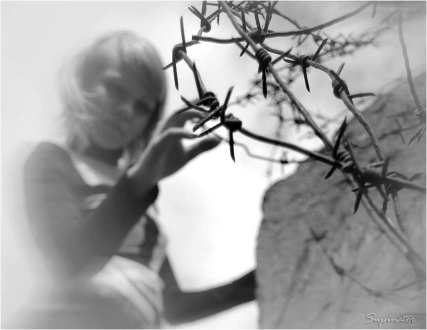 познание, колючая, проволока, SUPINATOR