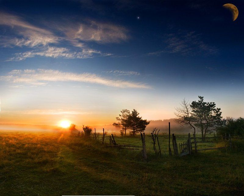 Звезда фото превью