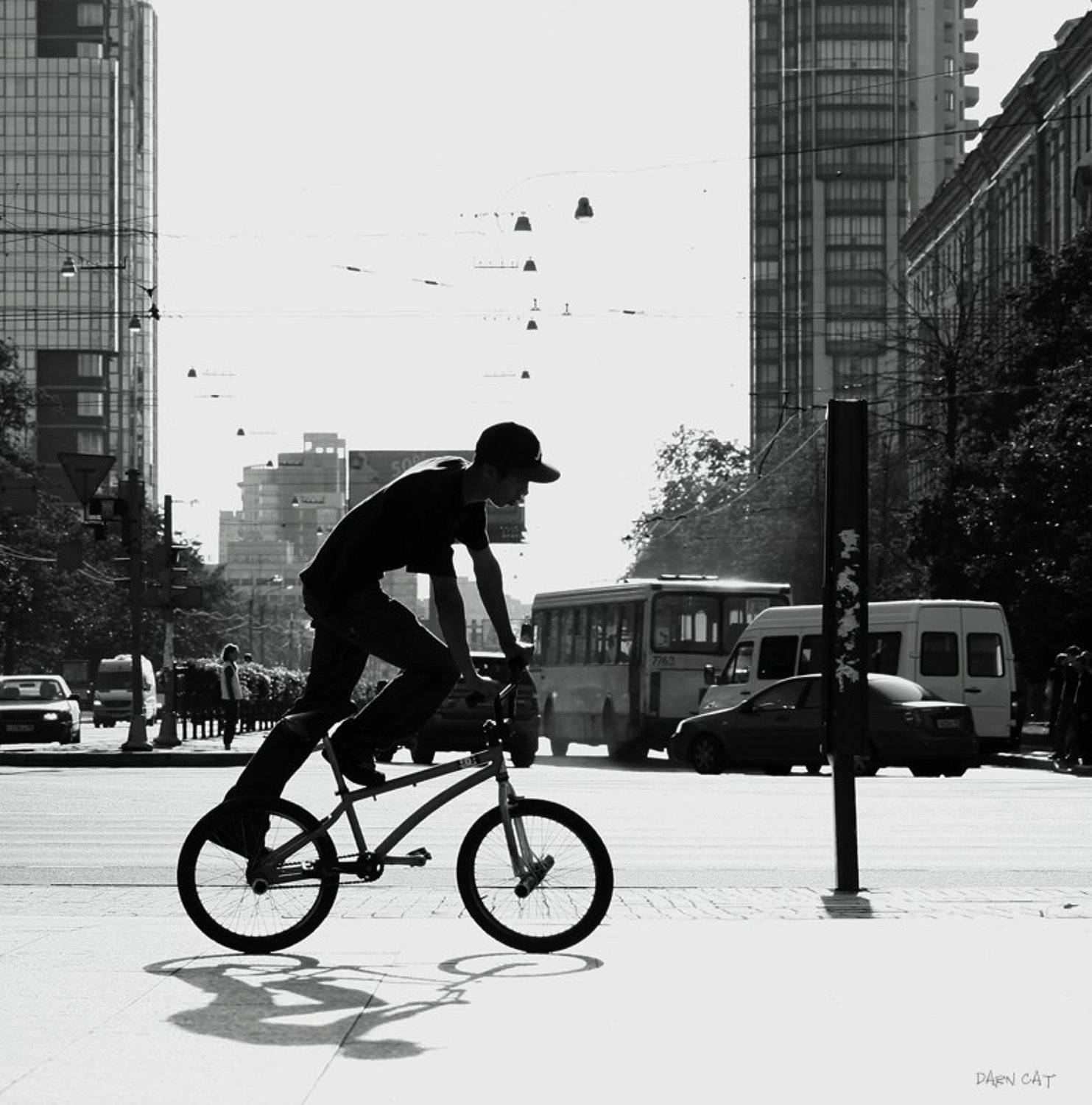 life, on, manhattan, жизнь, на, манхеттане, велосипед, прогулка, город, парень, тень, Darn Cat