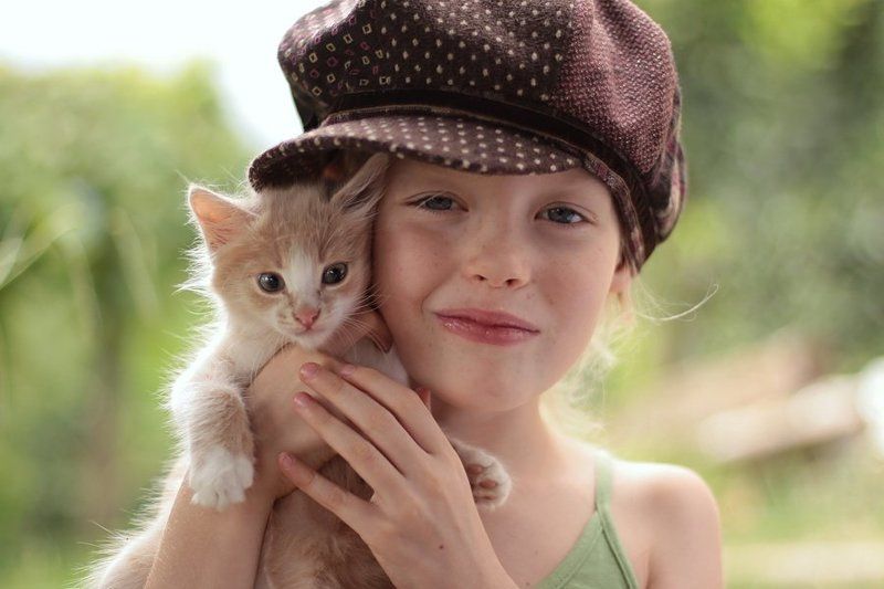 2 котенка фото превью