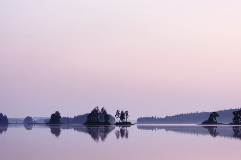 карелия, белая ночь. Белая-белая ночь. фото превью