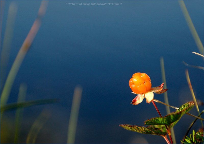 Искусительный этюд фото превью