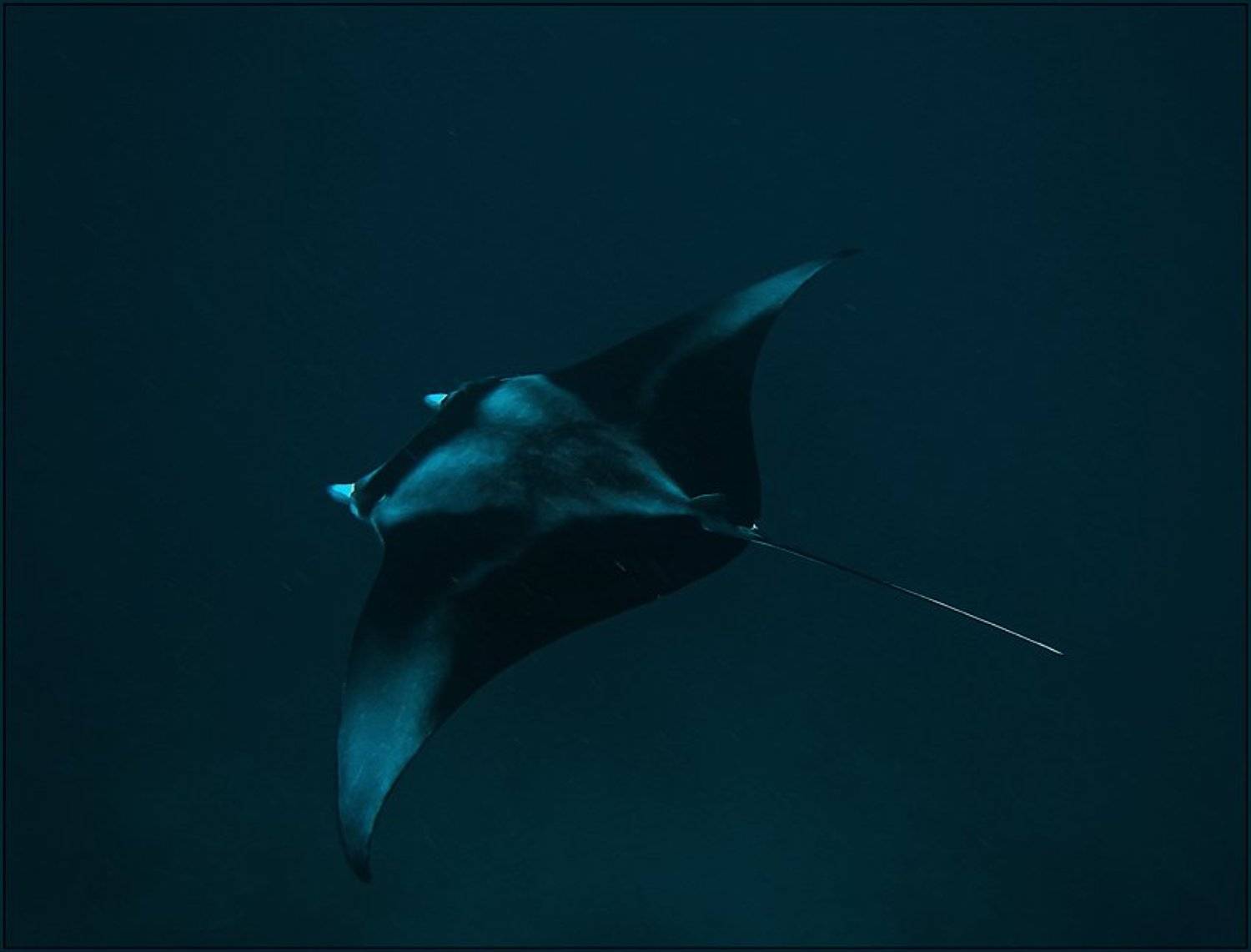 , Сергей Милицкий