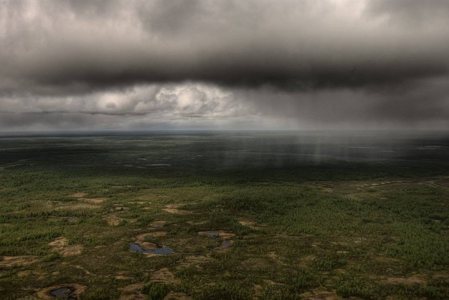 , Дмитрий Милосердов