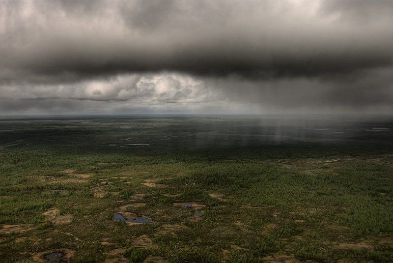 Дождь в тундре с высоты птичьего фото превью