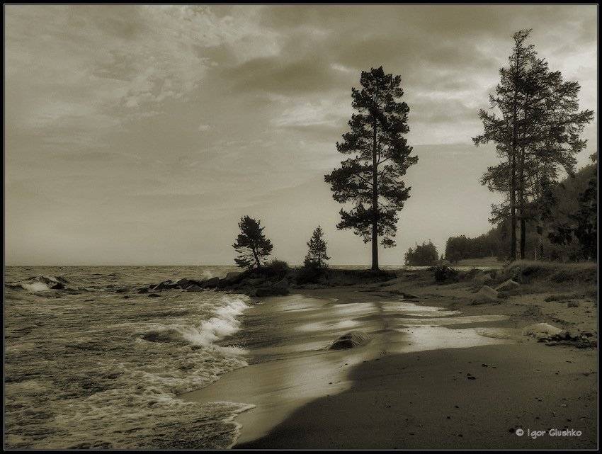 байкал, берег, вода, волна, лес, лето, Игорь Глушко