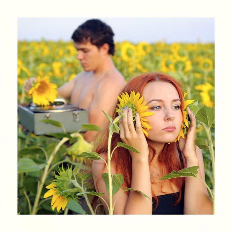 симфония полей фото превью