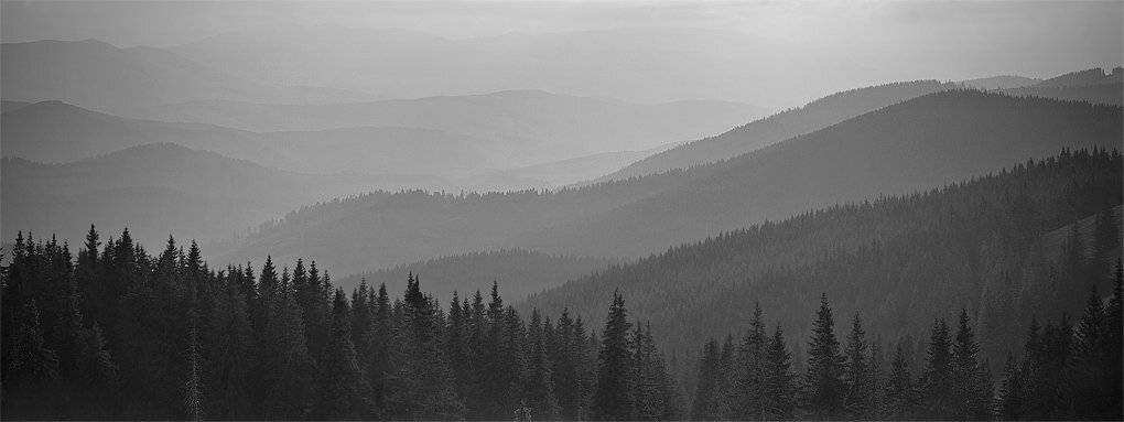 карпаты, природа, пейзаж, горы, панорама, Piligrim