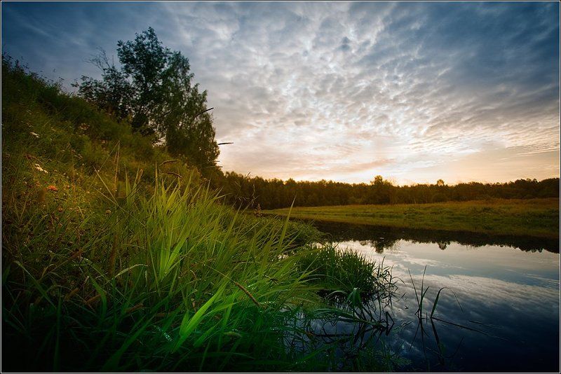 здесь рыбы нет фото превью