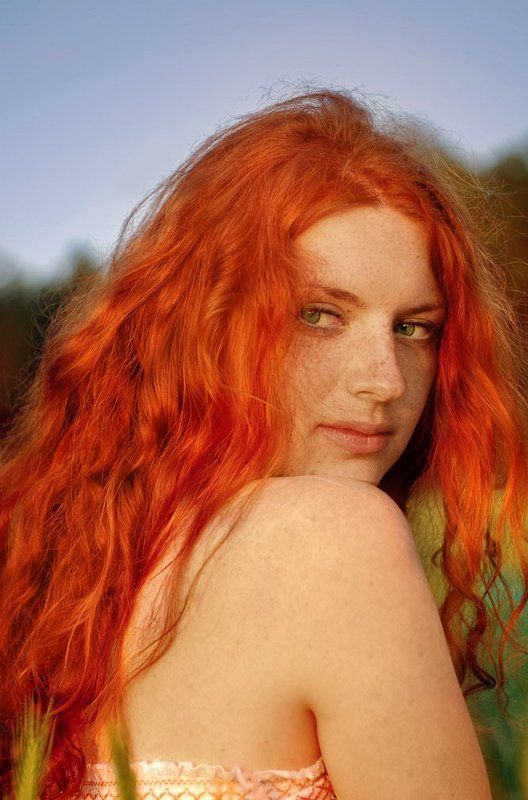 Рыжик фото превью