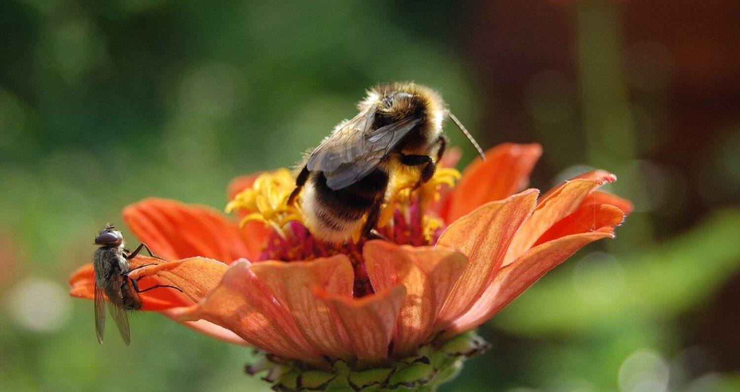 , Азат Табрисович