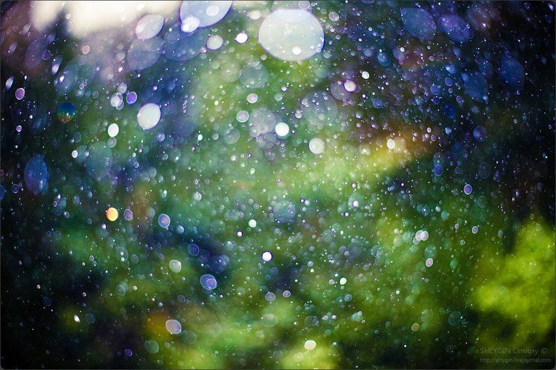 Дождливые бокешечки =) фото превью