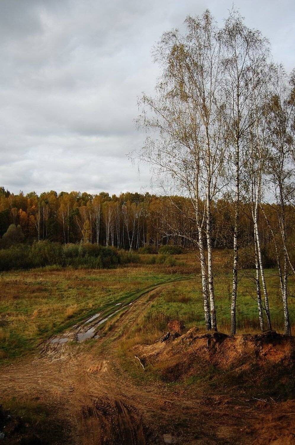 , Азат Табрисович