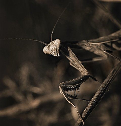 смотри,он идет тут,а я тут..