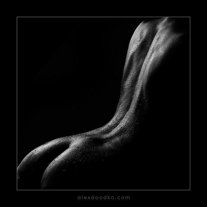 doodko, линии, ню *** фото превью