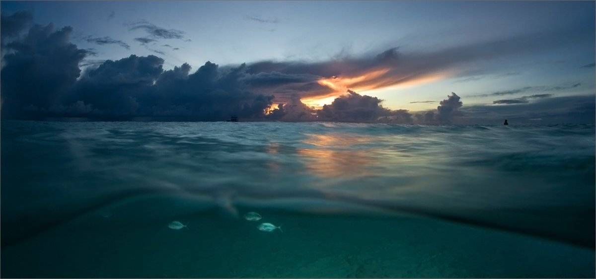 вечная_беда, Нетушки