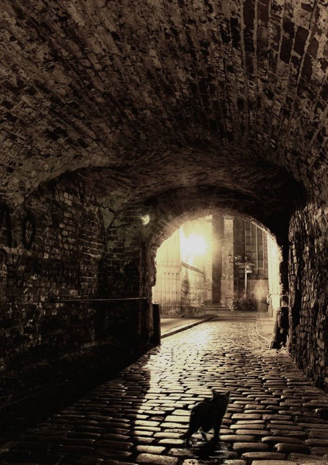 , Павел Дунюшкин