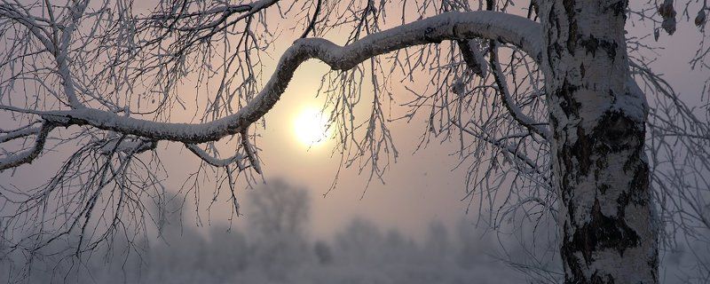 Зимний вечер фото превью