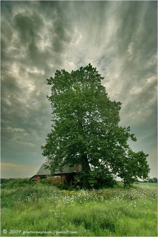 пейзаж, pilgrim, hdri, Pilgrim