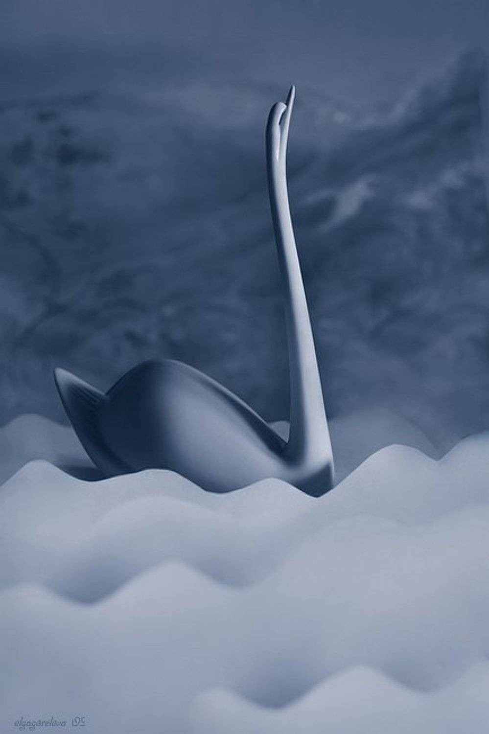 фото, натюрморт, белая, лебедь, Ольга Горелова