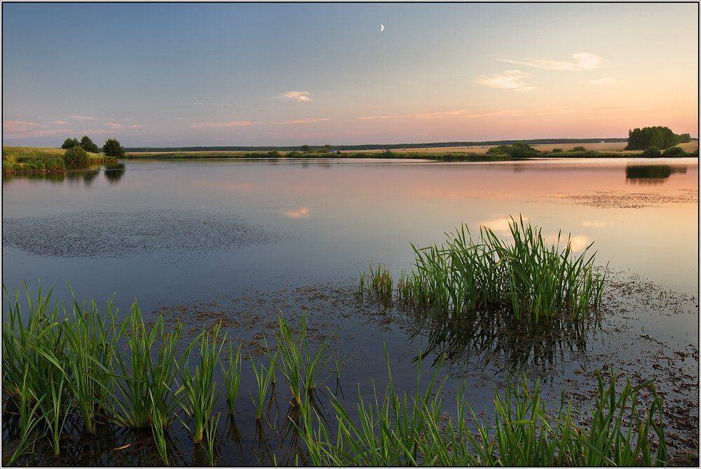 , izh Diletant (Валерий Щербина)