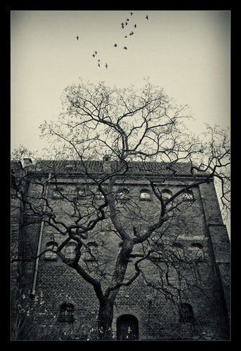 old tale