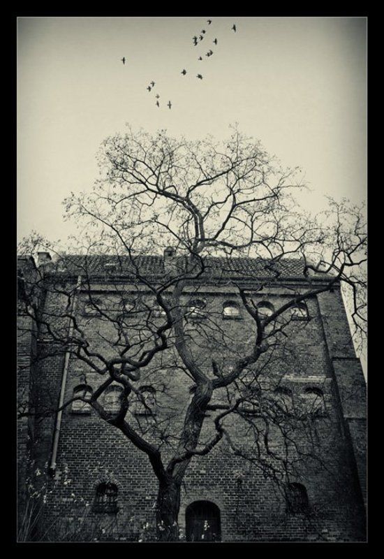 tale old tale фото превью