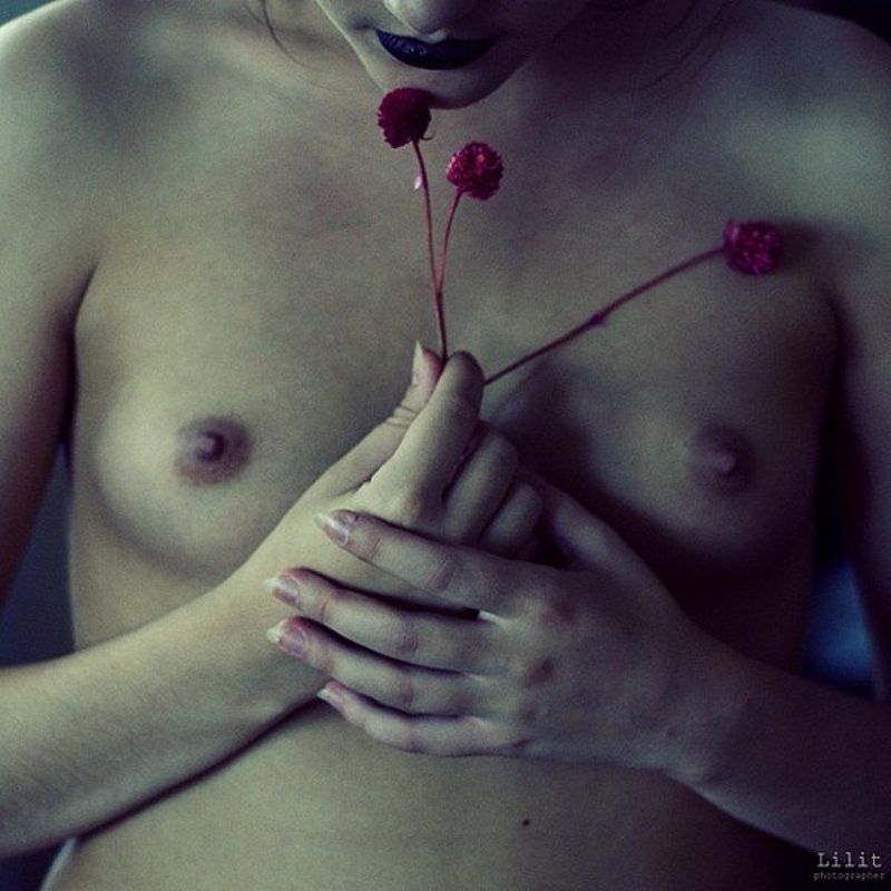 Клевер фото превью