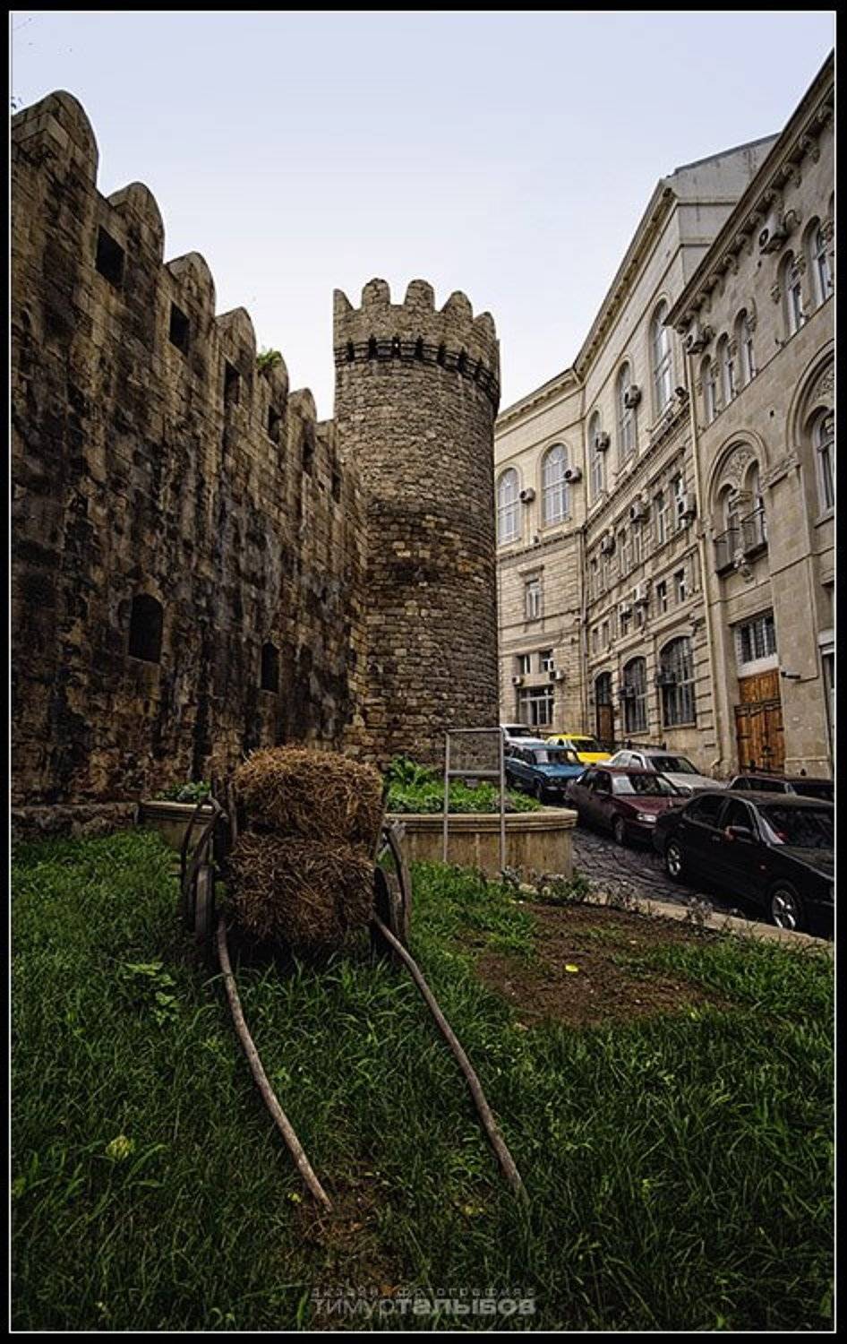 , Тимур Талыбов