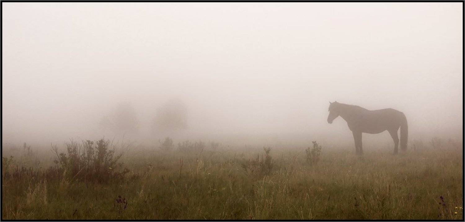 хакасия, Олег Клочков