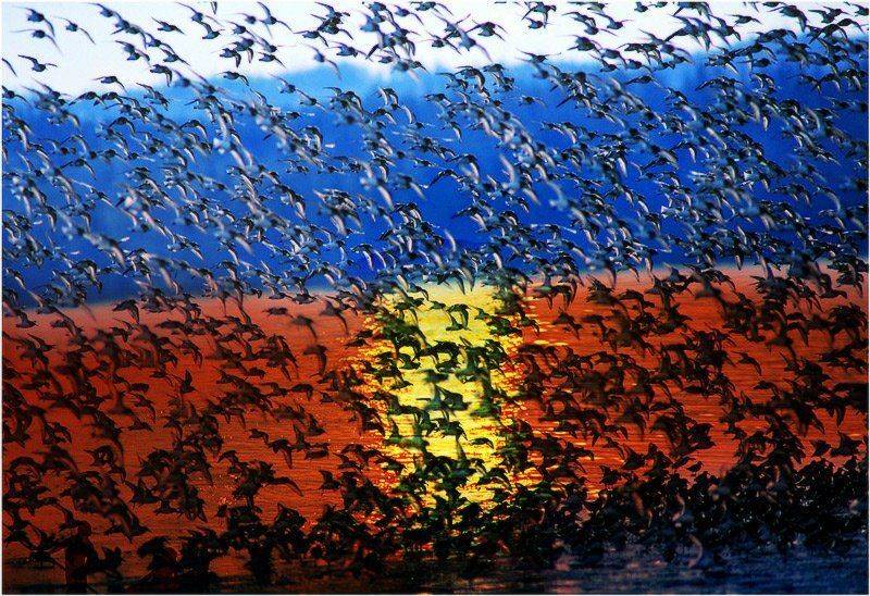 , Виктор Перякин