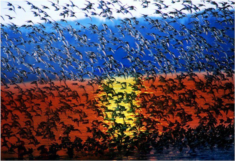 С праздником, Россия!