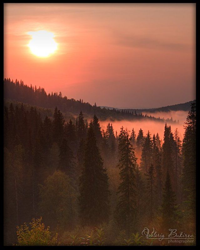 Туманности фото превью