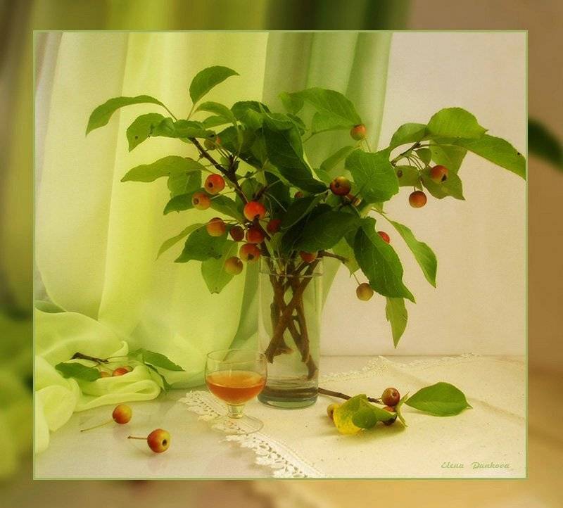 натюрморт, яблоки, бокал, вино, лето, Elena Pankova