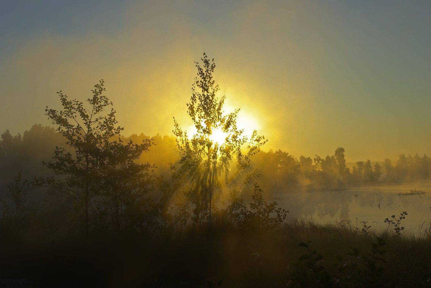 , Вячеслав Довыденков