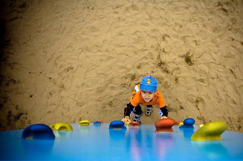 жанр, ребенок, детство, препятствия, философия Когда деревья были большими... фото превью