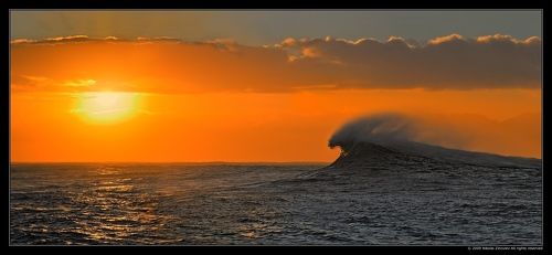 Пляски Харибды