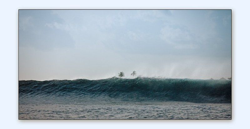 Про волну и две пальмы фото превью