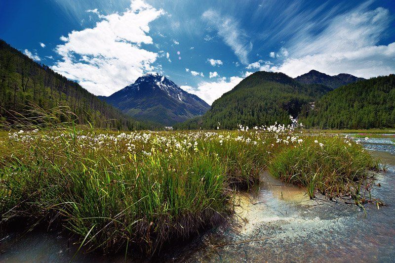 алтай, кониайры, дарашколь  фото превью