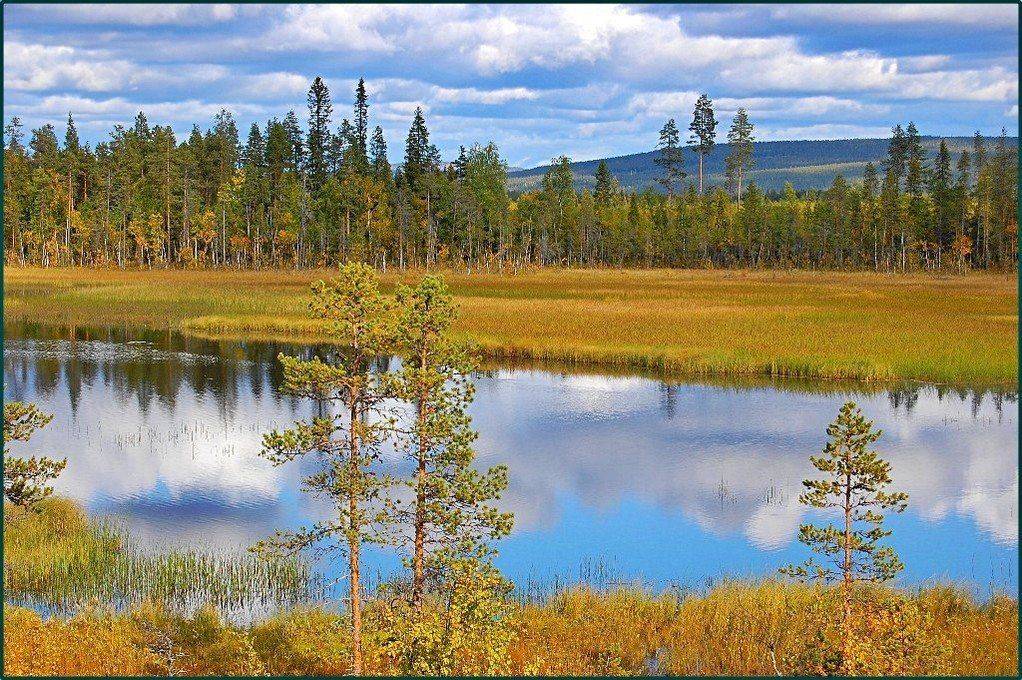 лапландия,швеция,заполярье,пейзаж,природа, Елена