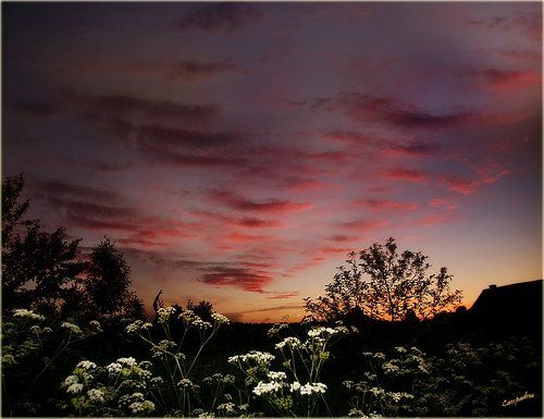 Эскалатор для уходящего солнца