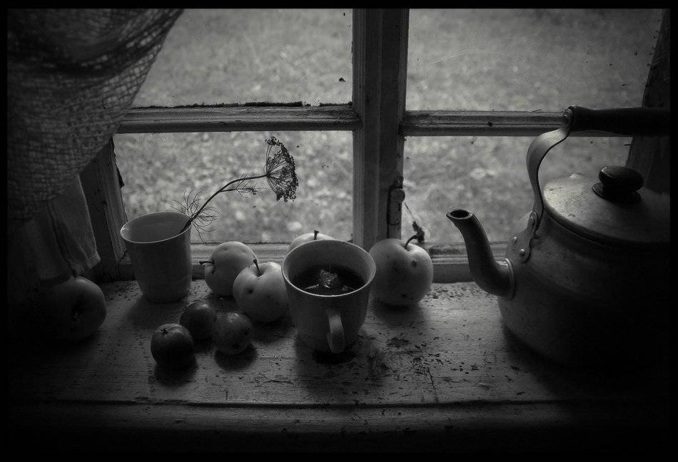 , Дарья Васильева