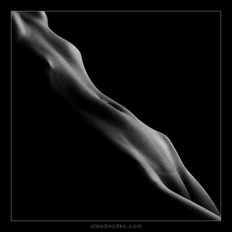 doodko, линии, ню *** фото превью