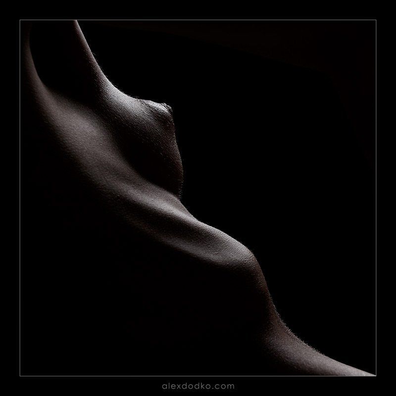 doodko, линии, ню *** фото превью