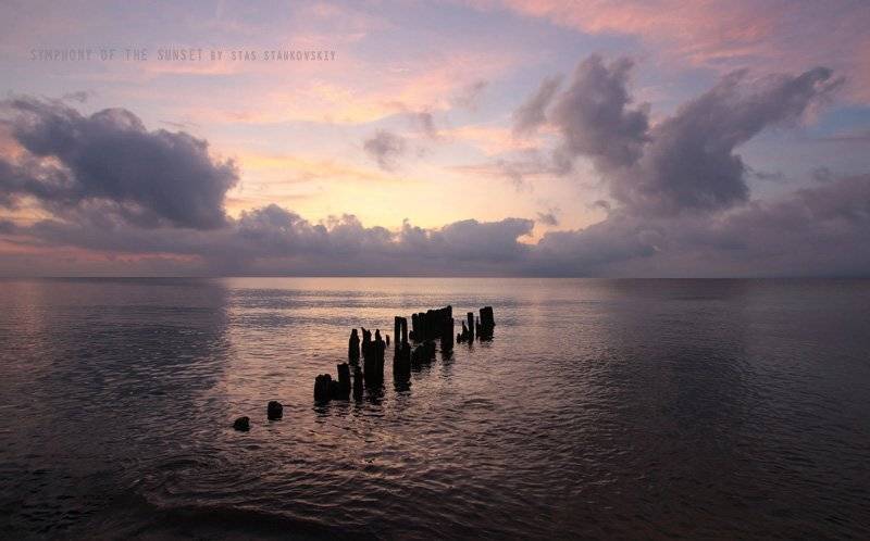 , Станислав Станьковский