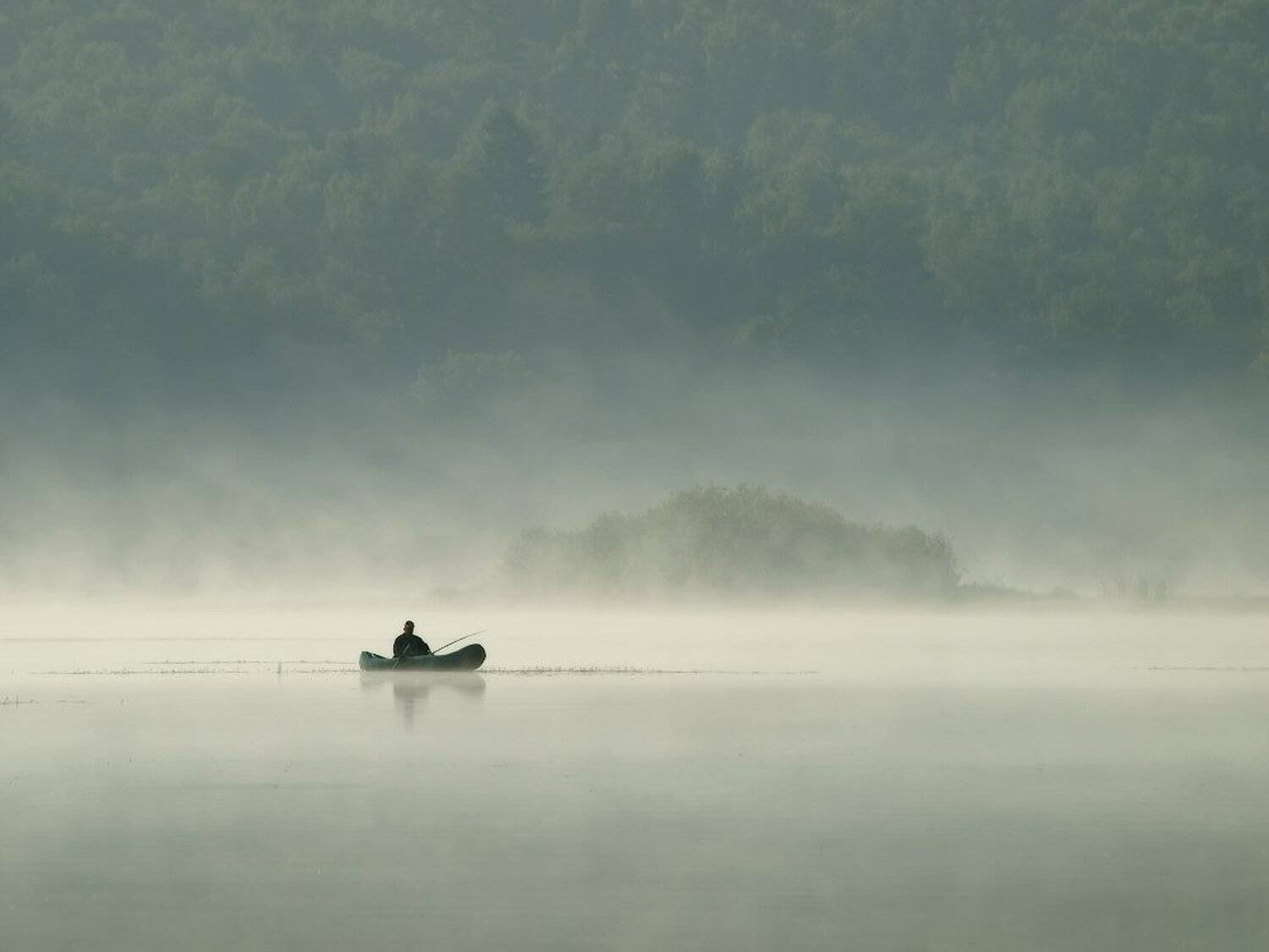 , Максим Евдокимов