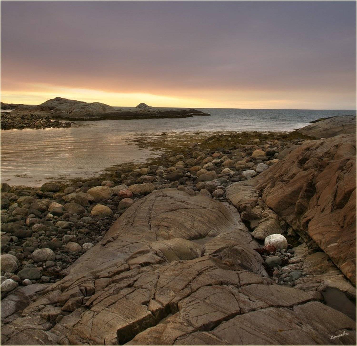 северный ледовитый океан, баренцево море, малая немецкая бухта,, Lampadina (Svetlana Maximova)