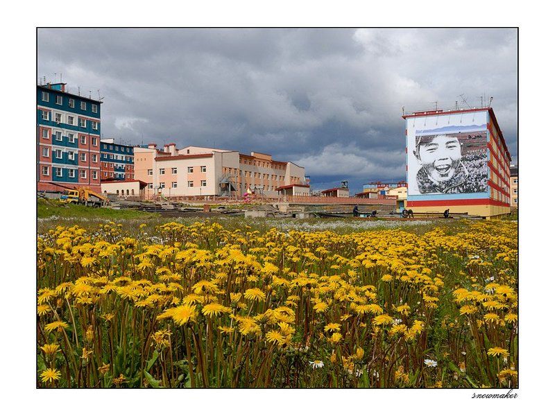 Multicolors of Anadyr VI фото превью